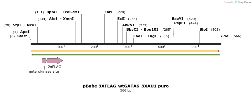 133680_map