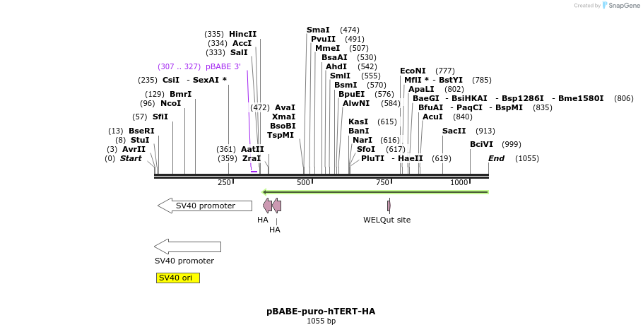 133690_map