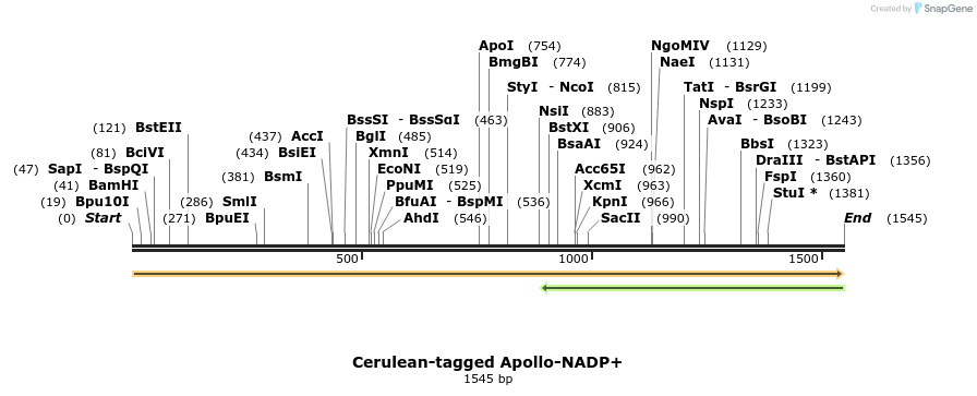 133691_map