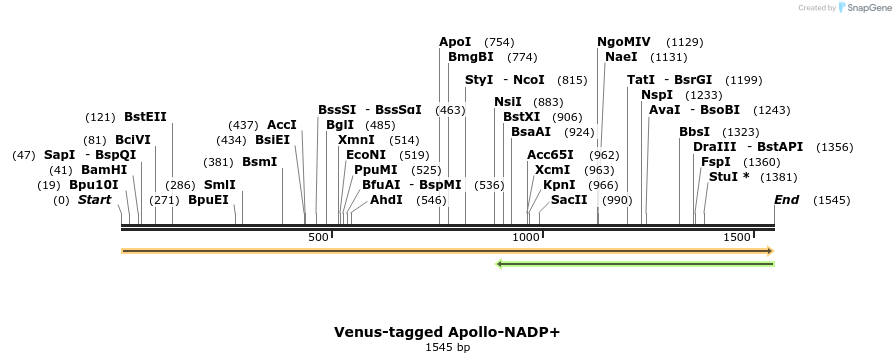 133693_map