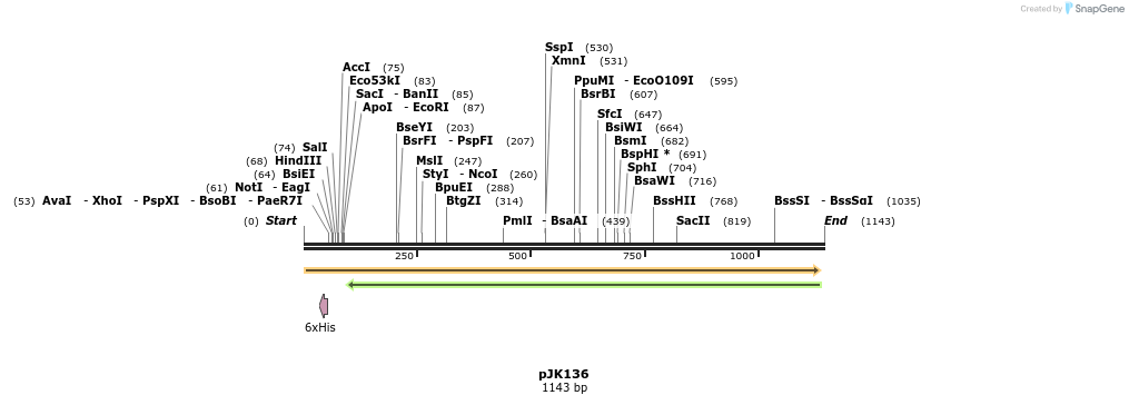133695_map