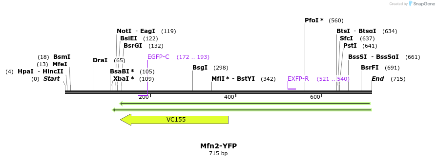 133699_map