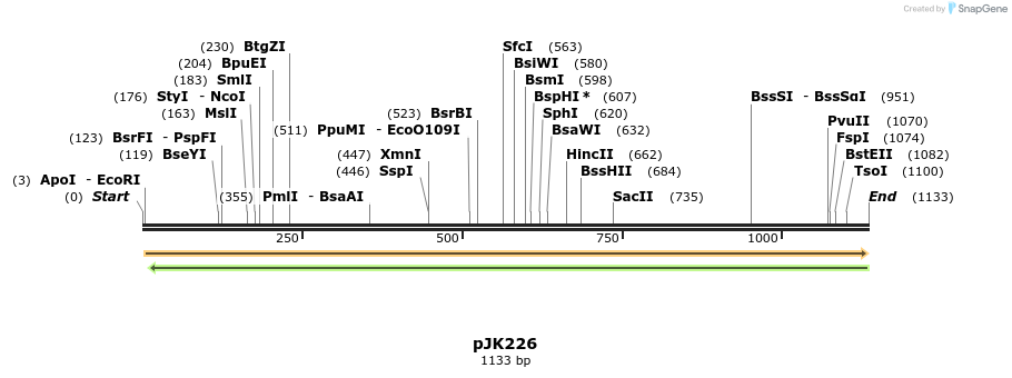 133702_map
