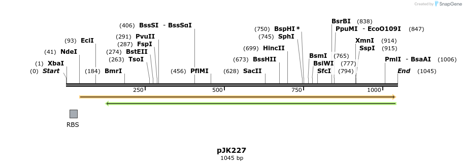 133706_map