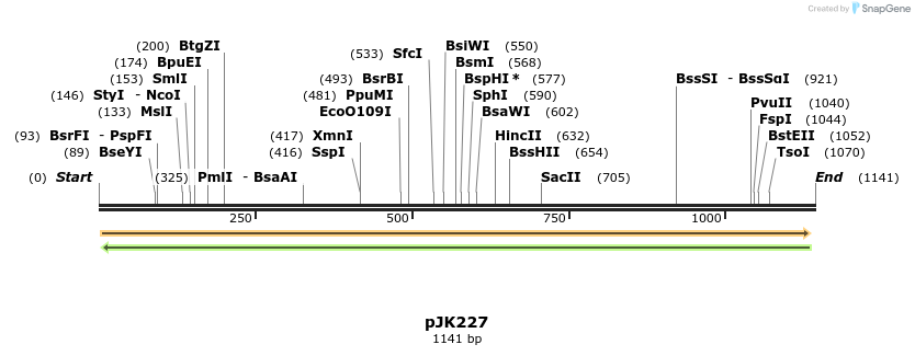 133707_map