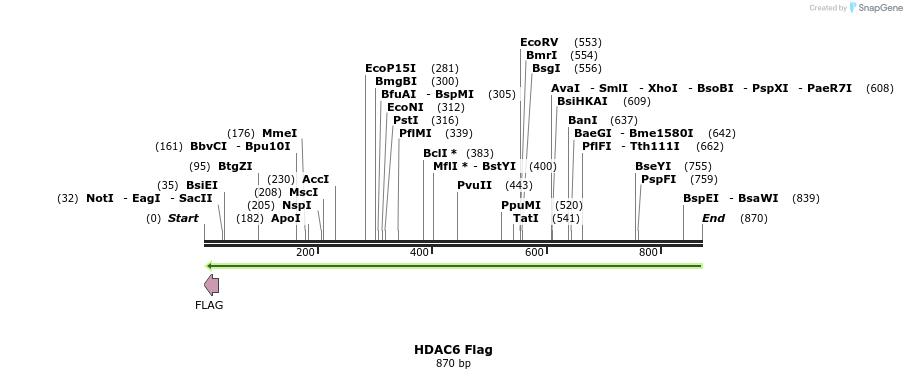 133708_map
