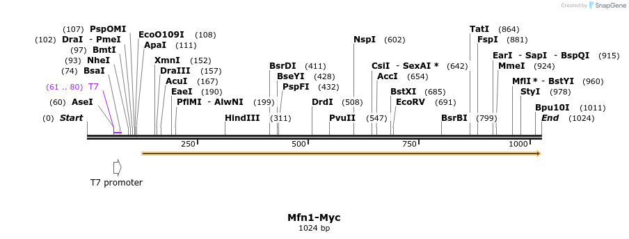 133709_map