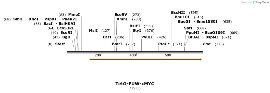 133710_map