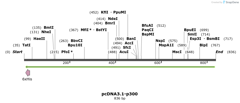 133711_map