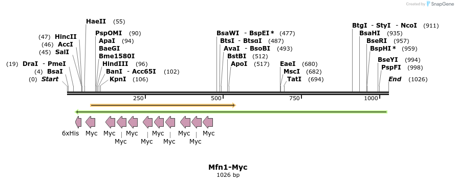 133712_map