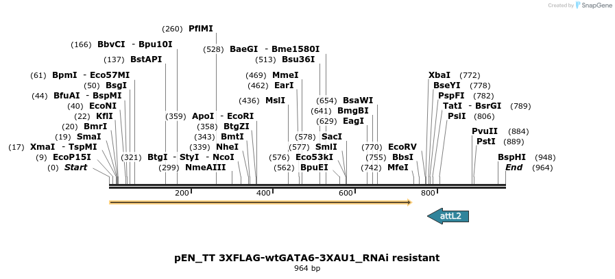 133714_map