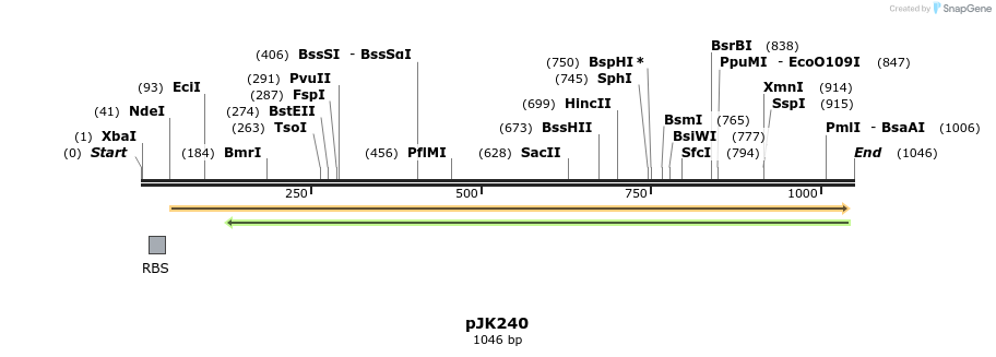 133717_map