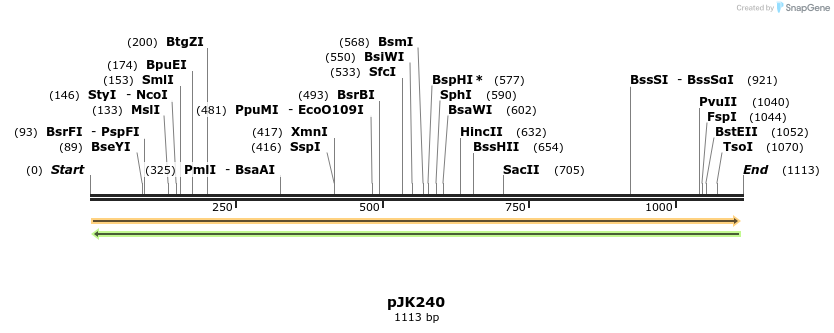 133718_map