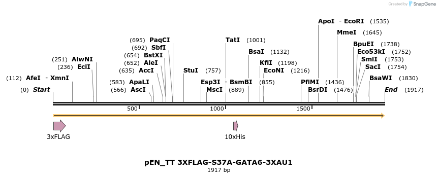 133719_map
