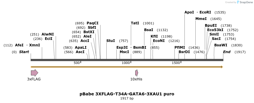 133730_map