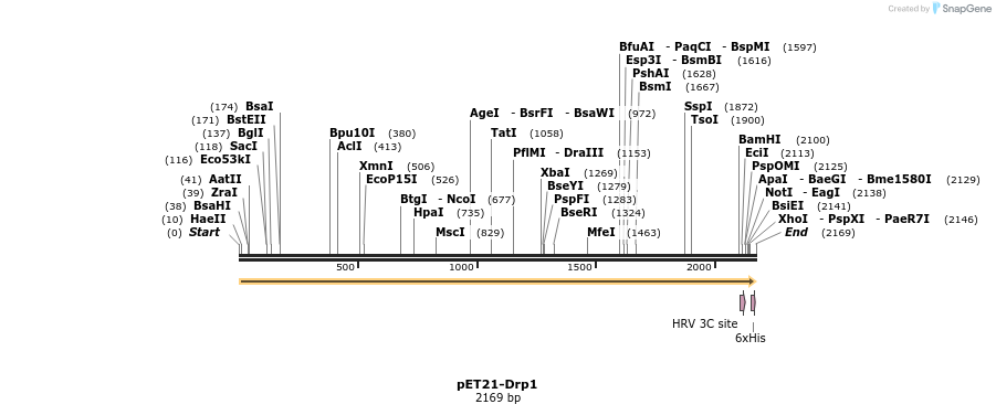 133744_map