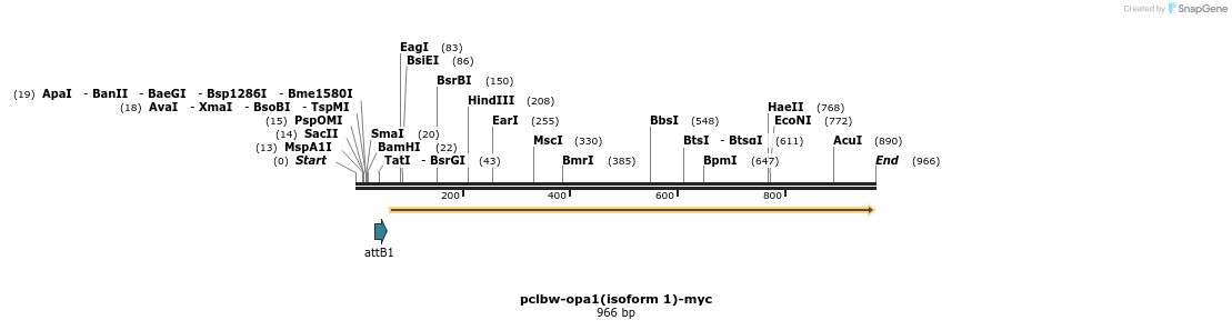 133746_map