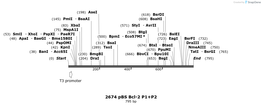 133751_map