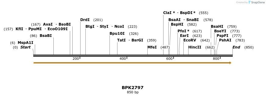 133762_map