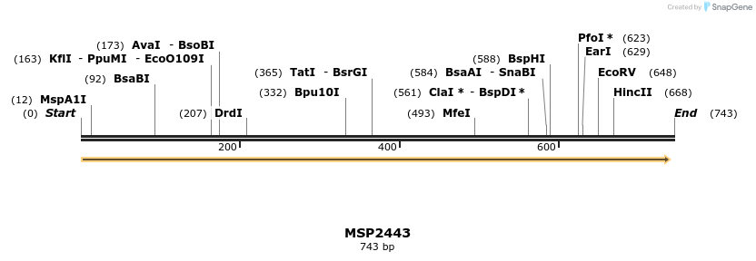 133763_map