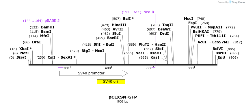 133765_map