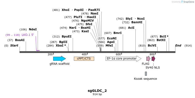 133769_map