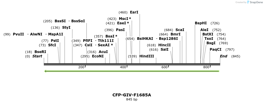 133777_map