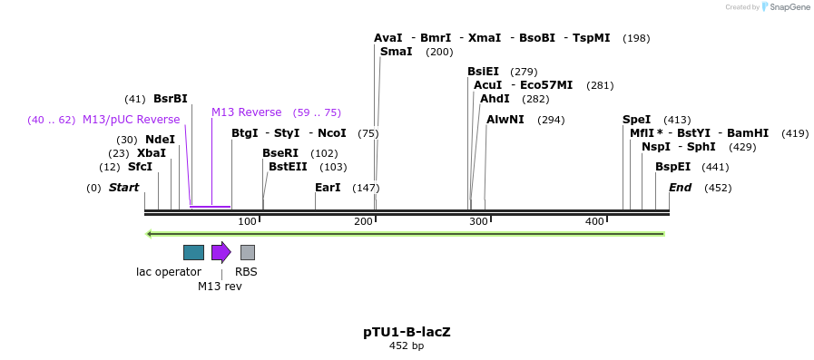133781_map