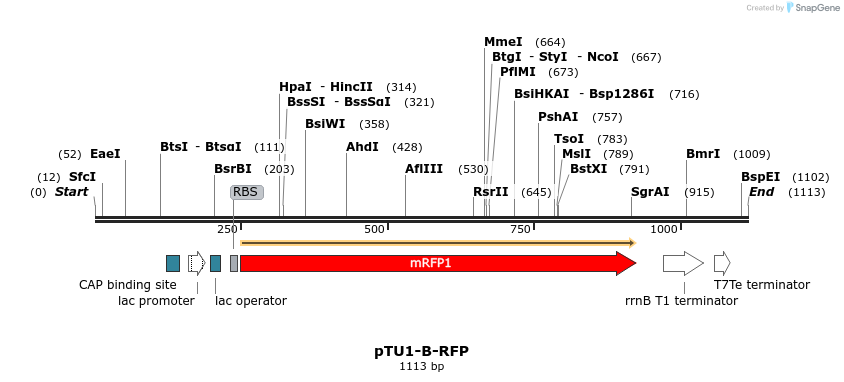 133785_map