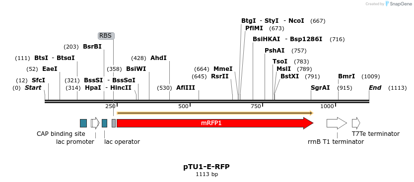 133789_map
