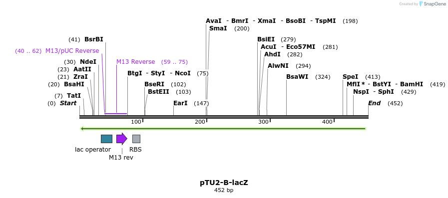 133796_map