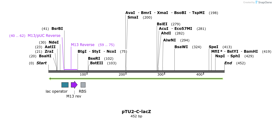 133797_map