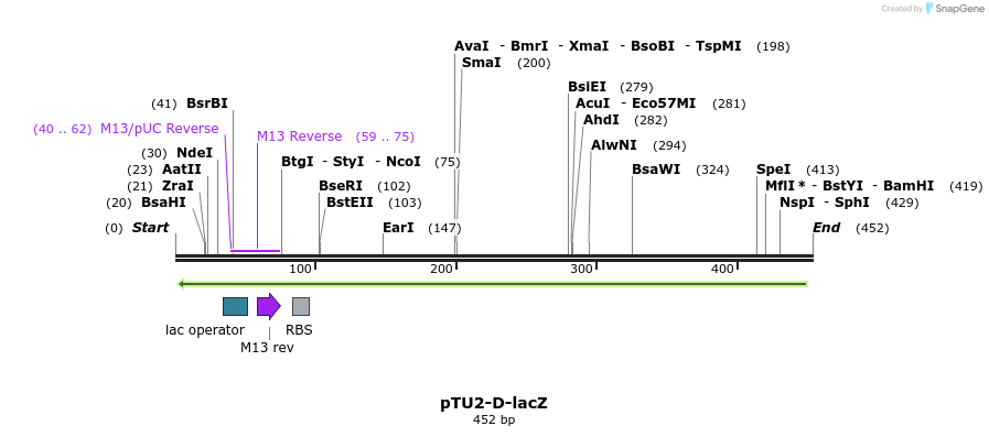 133798_map