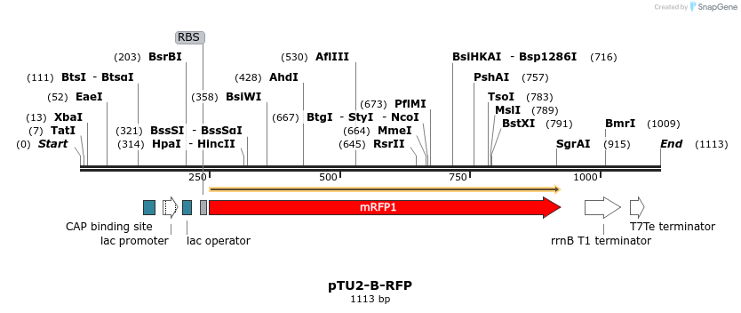 133800_map