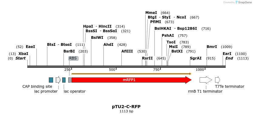 133801_map