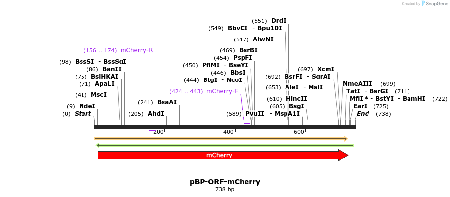 133807_map