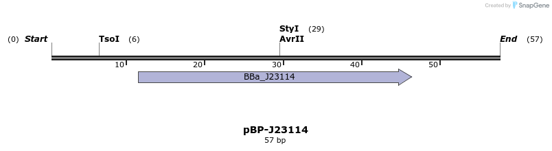 133810_map