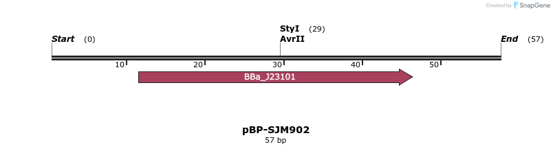 133812_map