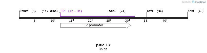 133822_map