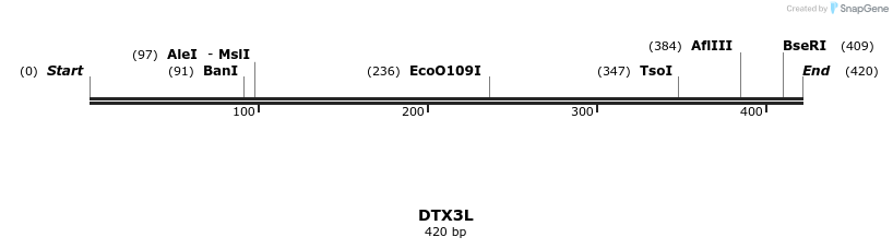 13385_map