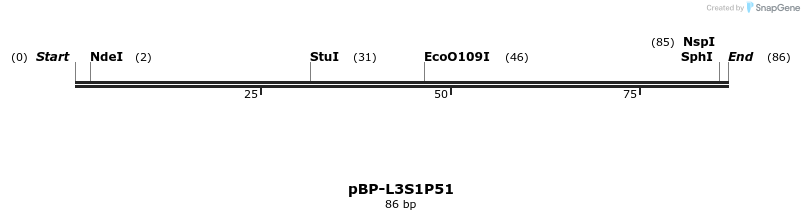 133851_map