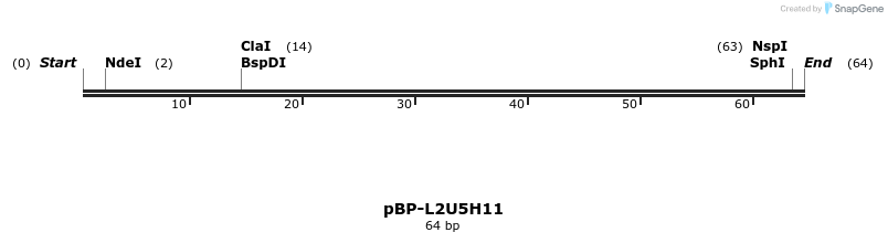 133855_map