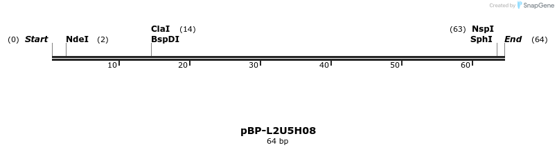 133856_map