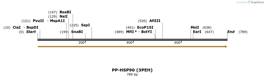 13386_map