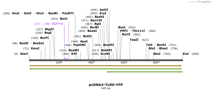 133872_map