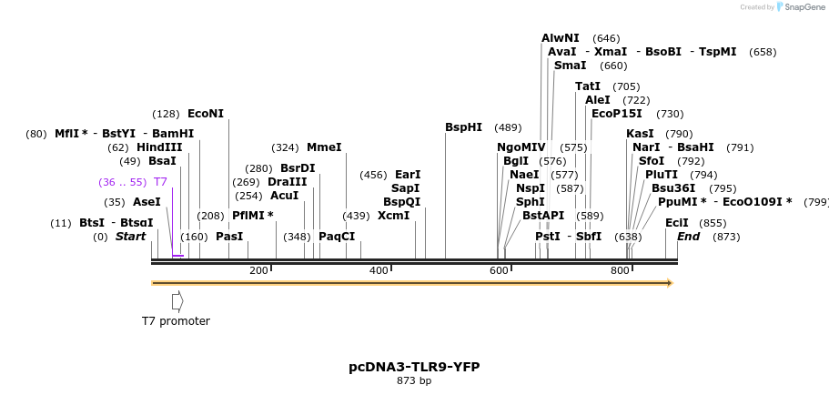 133873_map