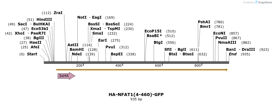 133875_map