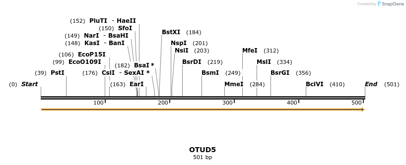 13389_map