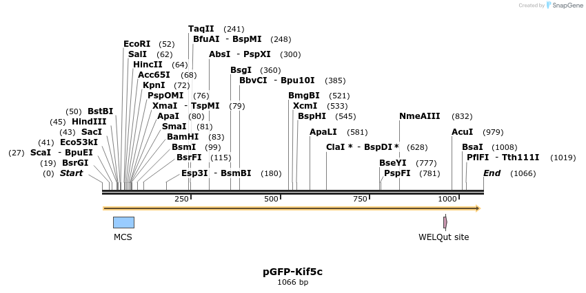133897_map