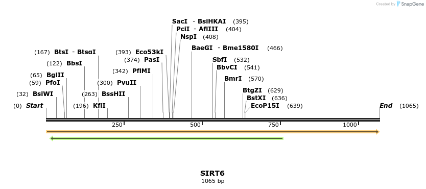 13390_map